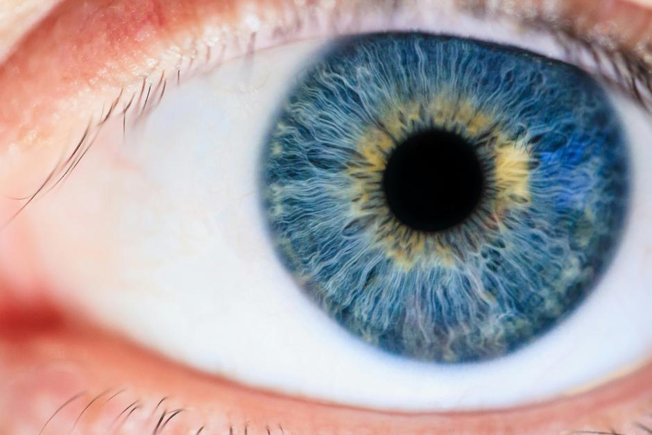 Biometria bankowość bezpieczeństwo